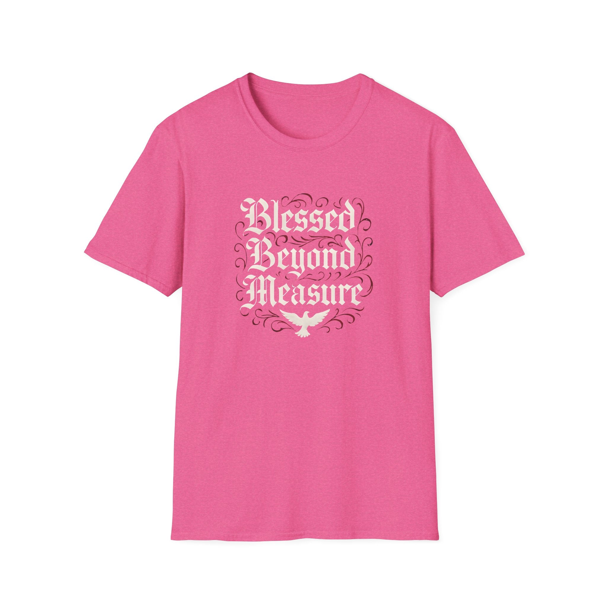 Blessed Beyond Measure T-Shirt