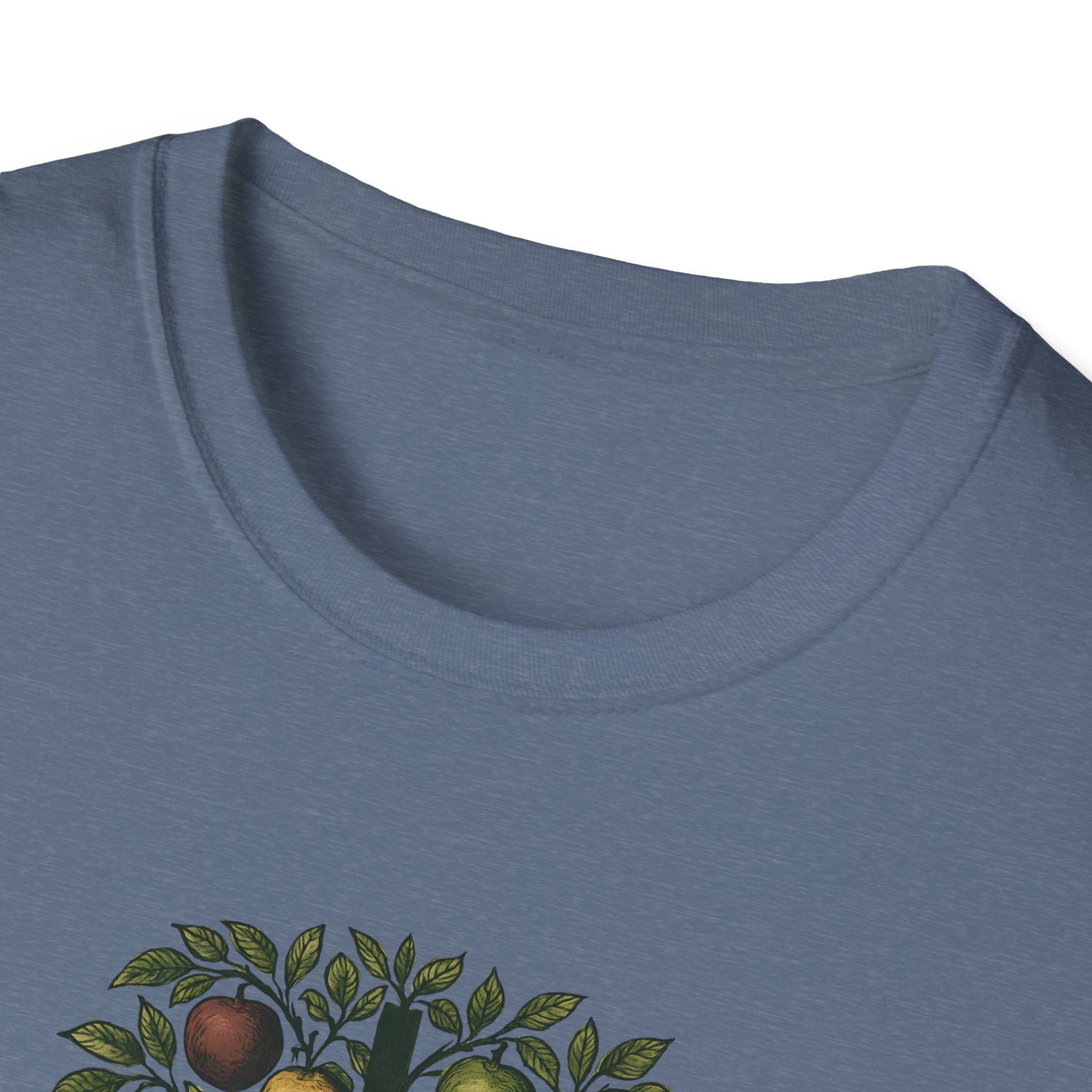 Fruits of the Spirit T-Shirt