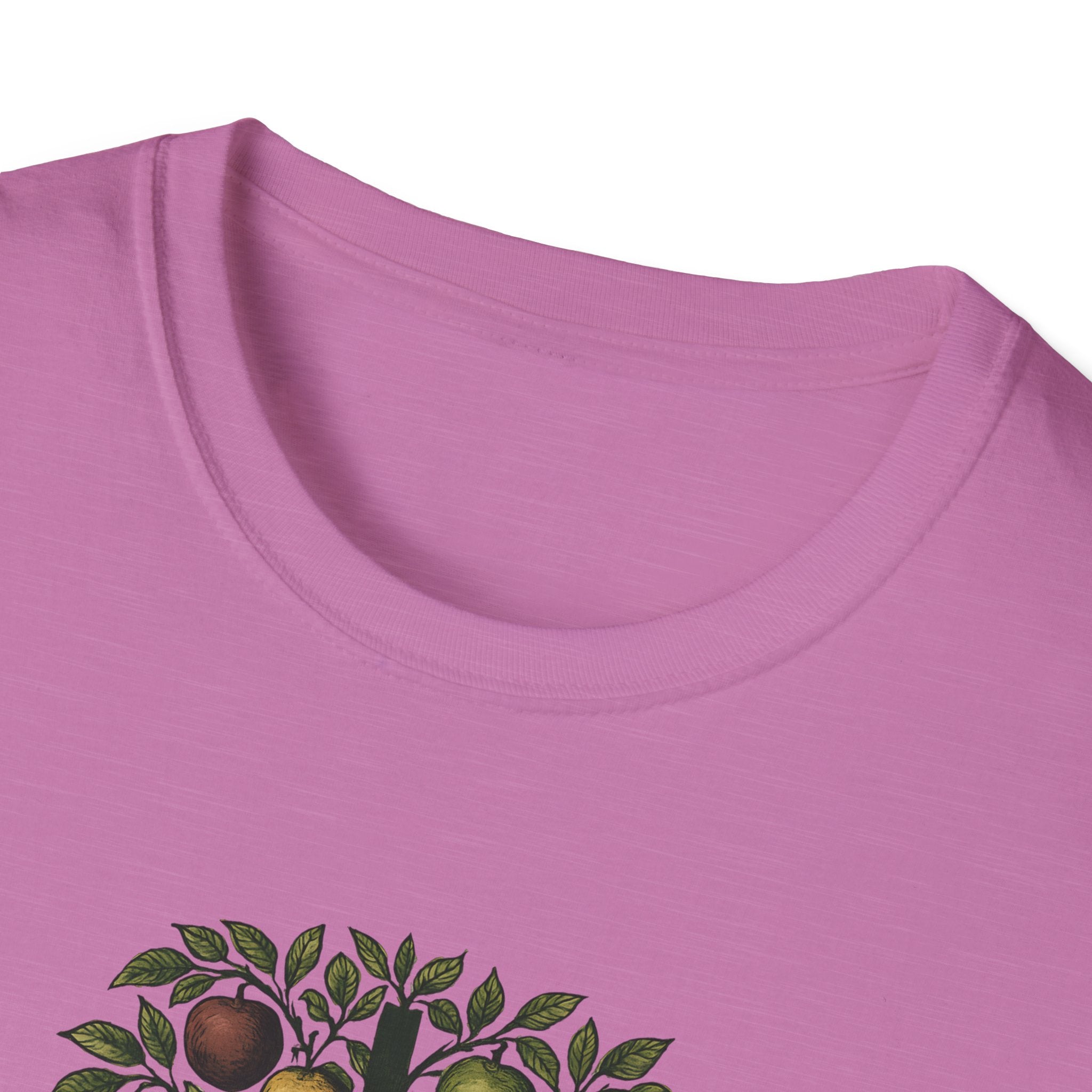 Fruits of the Spirit T-Shirt
